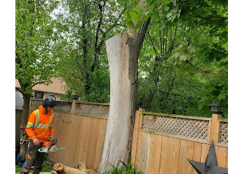Ajax tree service Unparalleled Tree Service