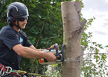 Ajax tree service Unparalleled Tree Service