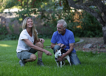 Regina Dog Trainers Institute of Canine Psychotherapy