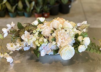 Cambridge Fleuristes Urban Jungle Cambridge