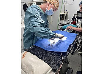 Fredericton veterinary clinic Valley Veterinary Hospital