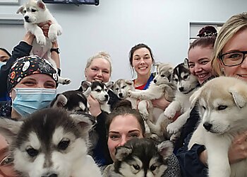 Fredericton veterinary clinic Valley Veterinary Hospital