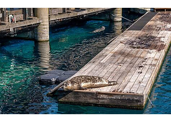 Vancouver places to see Vancouver Aquarium