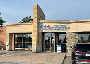 Ottawa veterinary clinic VCA CANADA ALTA VISTA ANIMAL HOSPITAL image 1