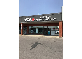 Cambridge veterinary clinic VCA Canada Burgess Animal Hospital image 1