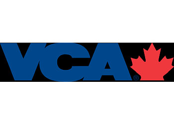 Calgary Cliniques Vétérinaires VCA Canada Calgary North Animal Hospital