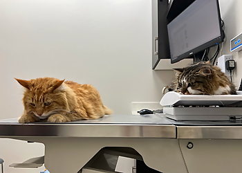 VCA Canada Apple Creek Animal Hospital - Markham, ON Veterinary Clinics - Healthcare Facility Image