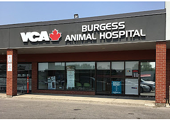 Cambridge veterinary clinic VCA Canada Burgess Animal Hospital