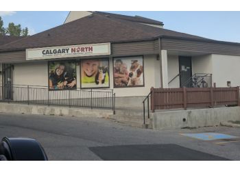 3 Best Veterinary Clinics in Calgary, AB - ThreeBestRated