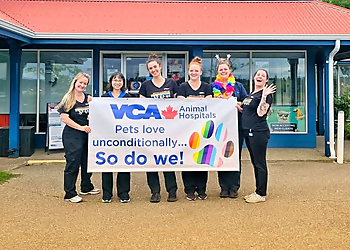 Saanich veterinary clinic VCA Canada Central Saanich Animal Hospital