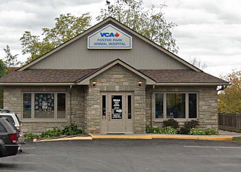 Belleville veterinary clinic  VCA Foster Park Animal Hospital image 1