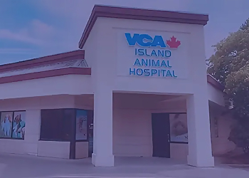 VCA Island Animal Hospital VCA Island Animal Hospital - Nanaimo, BC Veterinary Clinics - Clinic Exterior Image