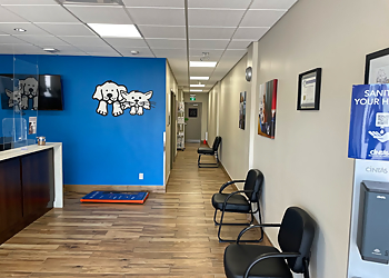 VCA Stouffville Animal Hospital - Stouffville, ON Veterinary Clinics