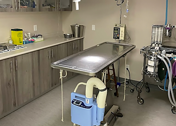 VCA Stouffville Animal Hospital - Stouffville, ON Veterinary Clinics