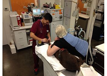 Vancouver veterinary clinic VCA Yaletown Animal Hospital