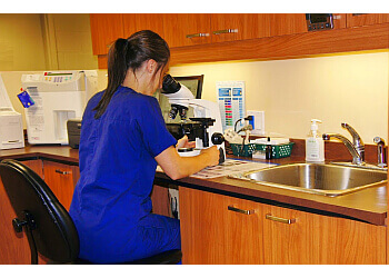 Repentigny Cliniques Vétérinaires Vet Et Nous. Tous Droits Réservés