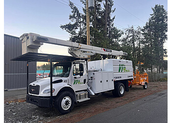 Nanaimo tree service VI Tree Service