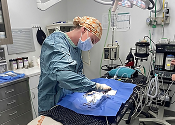 Valley Veterinary Hospital - Fredericton, NB Cliniques Vétérinaires - Doctor With Patient Image