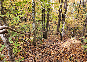 Shawinigan Sentiers De Randonnée Vallée Rocanigan
