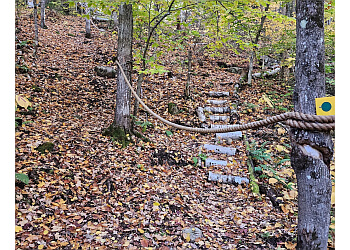 Shawinigan Sentiers De Randonnée Vallée Rocanigan