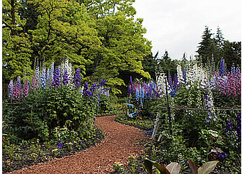 Vancouver places to see VanDusen Botanical Garden