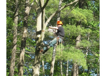 Peterborough tree service Van Till Tree Care