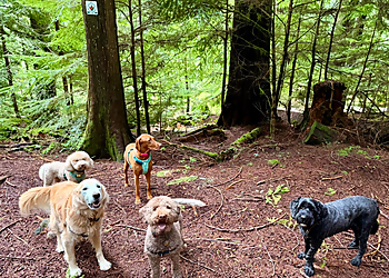 Vancouver dog walker Vancouver Canine