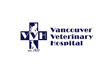 Vancouver veterinary clinic Vancouver Veterinary Hospital