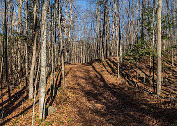 Belleville hiking trail Vanderwater Conservation Area