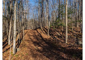 Belleville hiking trail Vanderwater Conservation Area