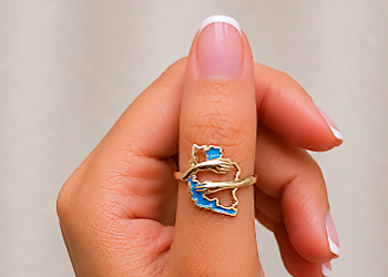 Vanhess Jewellery - Coquitlam, BC Jewellery - Ring Display Image