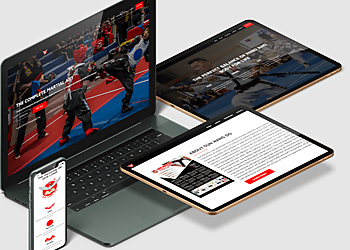 Vasdev Design Inc - Abbotsford, BC Web Designers - Service Image