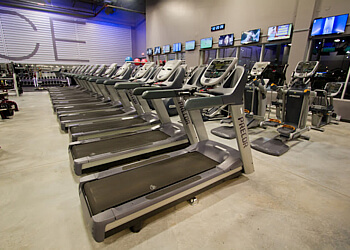 Levis Gymnases Venice Gym Lévis