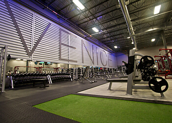 Levis Gymnases Venice Gym Lévis