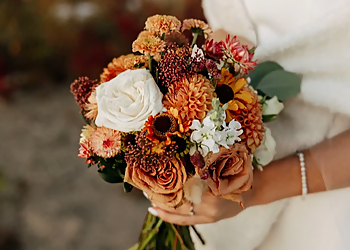 Vert Tige Vert Tige - Saguenay, QC Florists