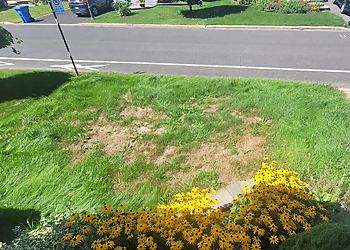 Longueuil Service D'Entretien De Pelouse Vertdure Longueuil