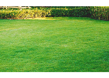 Gatineau lawn care service Vertdure | Entretien Pelouse Gatineau