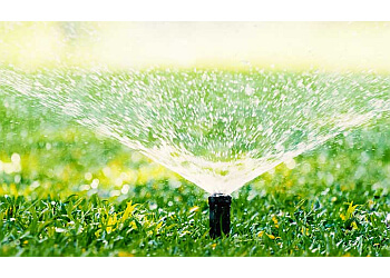 Gatineau lawn care service Vertdure | Entretien Pelouse Gatineau