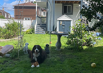 Levis Service D'Entretien De Pelouse Vertdure | Entretien Pelouse Lévis