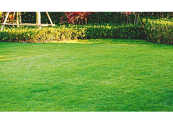 Sherbrooke Service D'Entretien De Pelouse Vertdure Sherbrooke