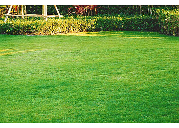 Trois Rivieres Service D'Entretien De Pelouse Vertdure