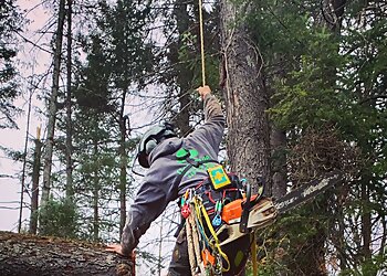 Sherbrooke tree service Verti-Go Arboriculture