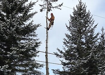 Sherbrooke tree service Verti-Go Arboriculture