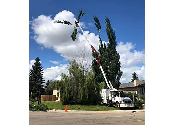 Red Deer tree service Vertical Limits Tree Care