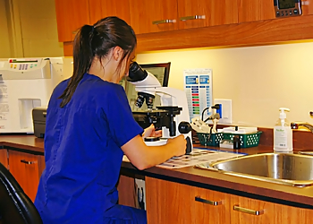 Vet Et Nous. Tous Droits Réservés - Repentigny, QC Veterinary Clinics - Service Highlights