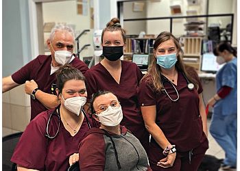 Toronto veterinary clinic Veterinary Emergency Clinic