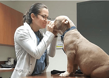 Montreal veterinary clinic Vet et Nous-Clinique de Santé Animale