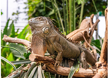 Saanich places to see Victoria Butterfly Gardens