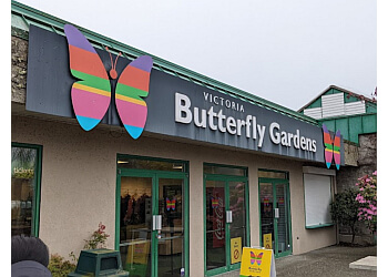 Saanich places to see Victoria Butterfly Gardens