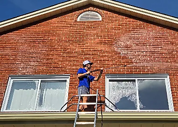 Vitrexpert Plateau - Gatineau, QC Window Cleaners - Service Highlights